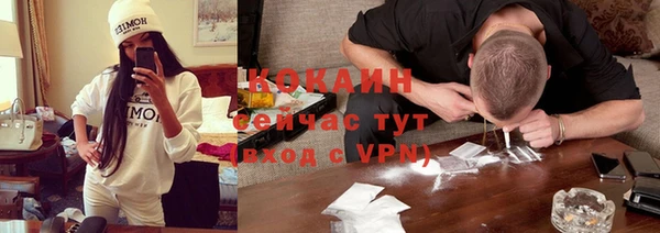 гидра Липки
