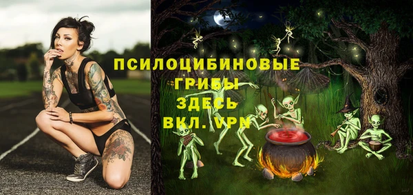 прущий лед Лиски