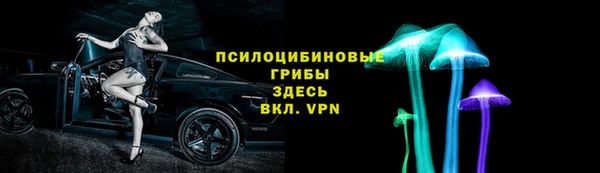 гидра Липки