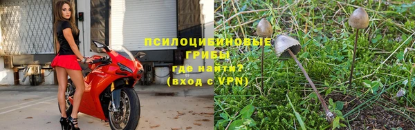 прущий лед Лиски
