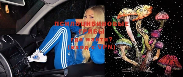 гидра Липки