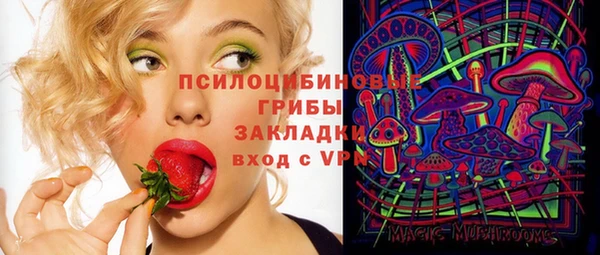 гидра Липки