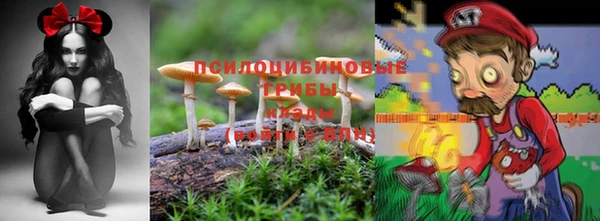 прущий лед Лиски
