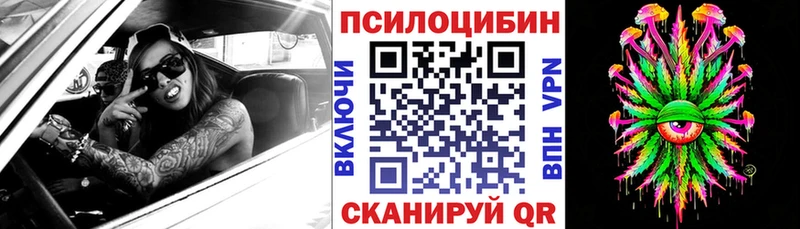 Галлюциногенные грибы Cubensis  Купить закладки  Калуга 