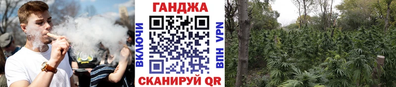Купить закладки  Калуга  Шишки марихуана OG Kush 